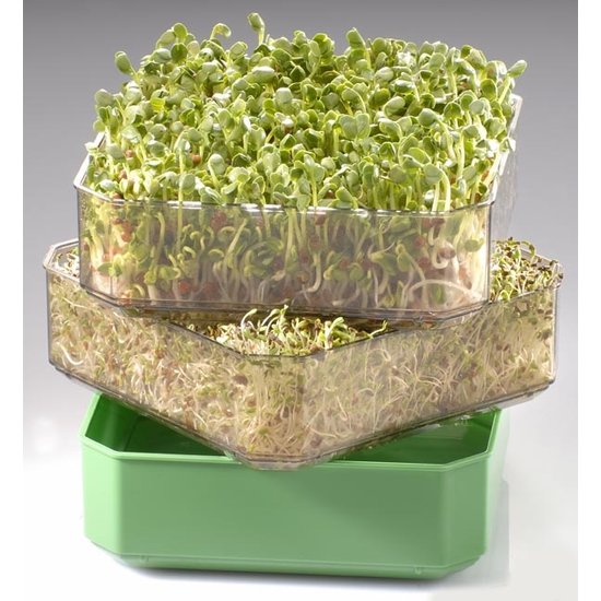 Germ'line Salad Sprouter Germ'line