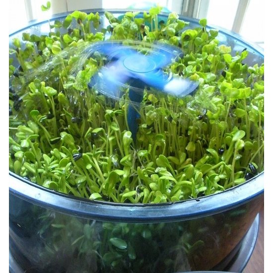 Freshlife Tribest Freshlife 3000 Kiemer