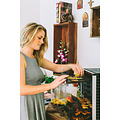 BioChef BioChef Food Dehydrator 8 lades BC8T
