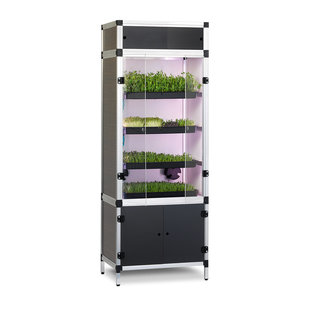 Grow Your Greens Sprouter