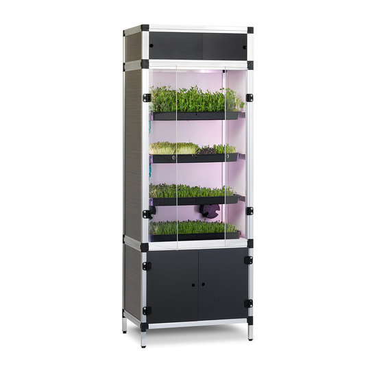 Grown Your Greens Grow Your Greens Sprouter