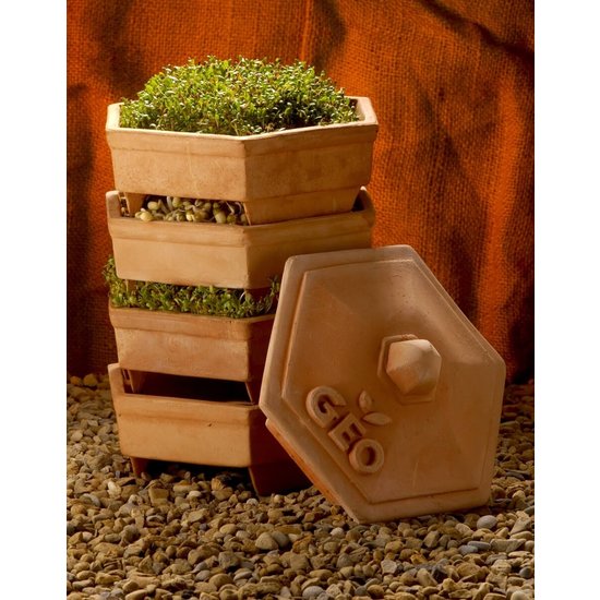 Geo GEO Terracotta Kiemtoren