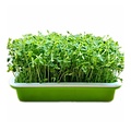 Slowjuice Slowjuice Kiemer (3-layer)