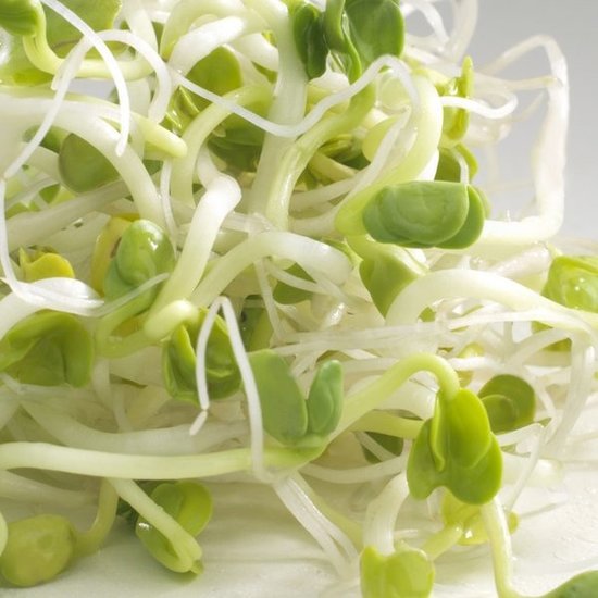 Germ'line Daikon Radijs biologisch kiemzaad  Germ'line 100gr