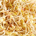 Germ'line Quinoa Bio Germ'line 200gr