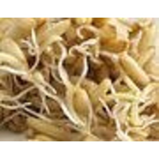 Germ'line Haver   Germ'line 200gr