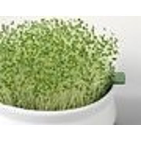 Germ'line Chia  Bio Germ'line 100gr