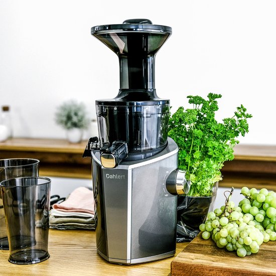 Dahlert Dahlert Slowjuicer DT-SJ-19