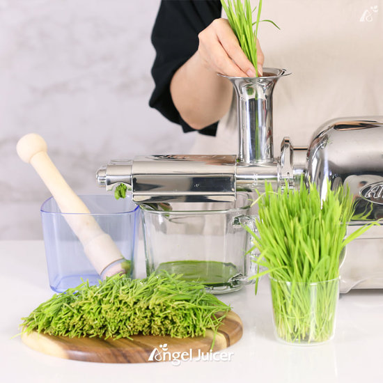 Angel Juicer Angel Juicer 8500  Wheatgrass Strainer