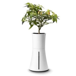 Botanium Self Watering Hydroponic Planter