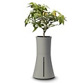 Botanium Self Watering Hydroponic Planter