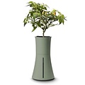 Botanium Self Watering Hydroponic Planter