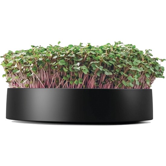Mother  PlantPod   - Copy