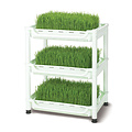 Sproutman Sproutman Wheatgrass Grower
