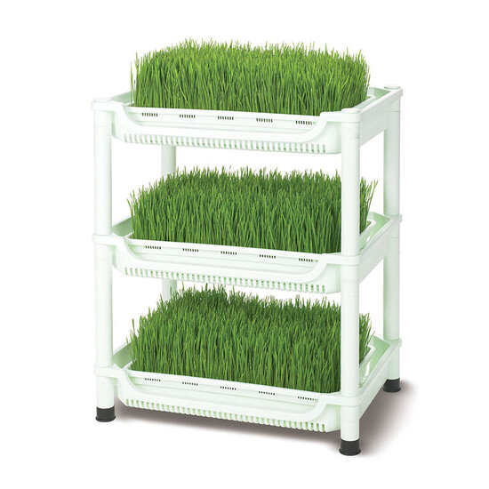 Sproutman Sproutman Wheatgrass Grower