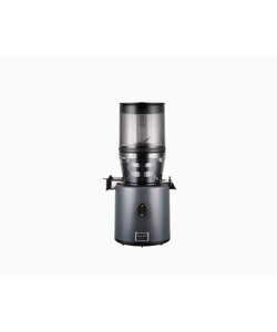 Hurom Slowjuicer H330P