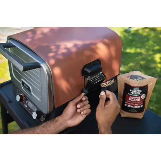 Ninja Ninja Woodfire Outdoor Pizza Oven & Smoker OO101EU