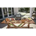 Ninja Ninja Woodfire - Elektrische BBQ - Grill en Smoker OG850EU