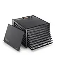 Excalibur Excalibur 9 Trays Dehydrator black (with timer)