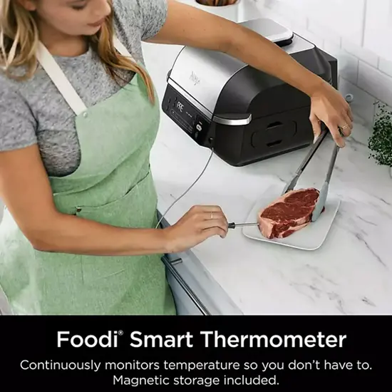 Ninja Ninja Air Grill EG351EU