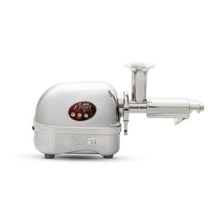 Angel Juicer 5500