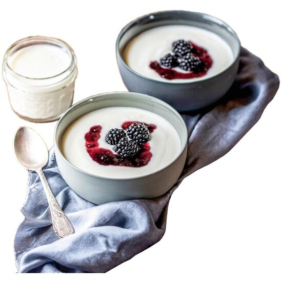 Rommelsbacher Rommelsbacher yoghurt/ Roomkaasmaker JG 80