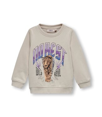 Only Kids OUTLET Kids Only Mini : Sweater Lucinda (Pumice stone)