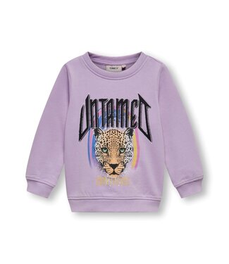 Only Kids OUTLET  Kids Only Mini : Sweater Lucinda (Lavendula)