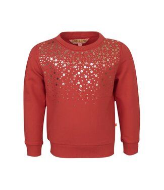 Someone OUTLET Someone : Sweater Johanna (Burnt red)