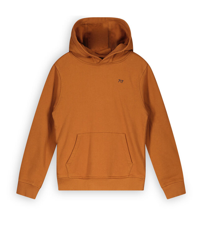 FW 717 Roest hoodie Rust Kinderkleding Kamelie