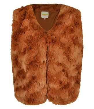 Someone OUTLET Someone : Gilet Woef (Cognac)