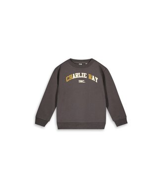 Charlie Ray OUTLET Charlie Ray : Sweater Charlie (Dark choco)