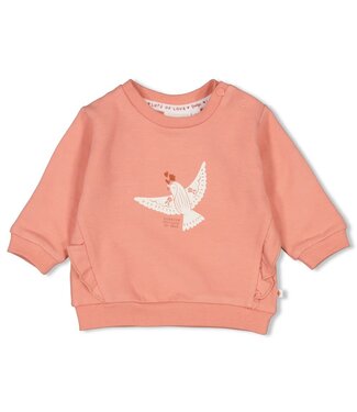 Feetje FW Feetje : Sweater Bird (Terra pink)