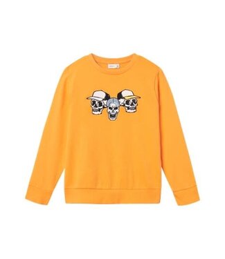 Name it SS Name it KIDS : Sweater Dejesper (Bird of paradise)