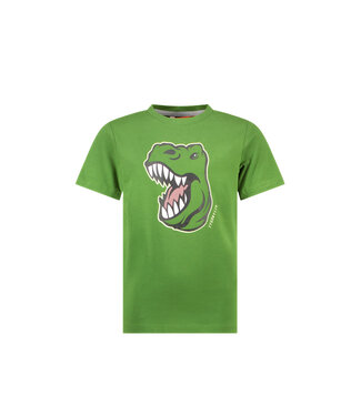 Tygo & Vito SS Tygo & Vito : T-shirt Jaimy (Tropical green)