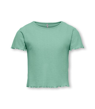 Only Kids SS Kids Only : T-shirt Nella (Birds egg green)