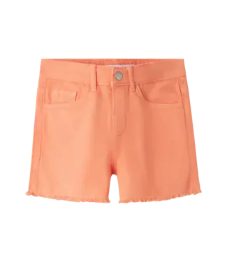 Name it SS Name it : Short Rose (Fresh salmon)