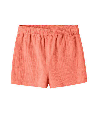 Name it SS Name it MINI : Tetra short Hisa (Fresh salmon)