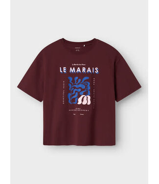 Name it FW Name it KIDS : T-shirt Orid (Sassafras)