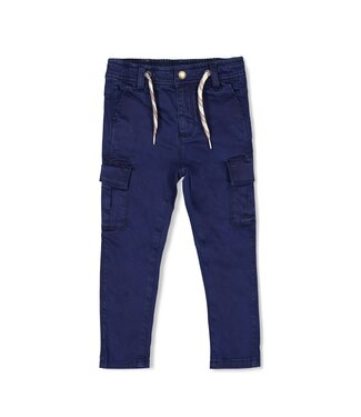 Sturdy FW Sturdy : Cargo broek - Waves and Whales (Marine)