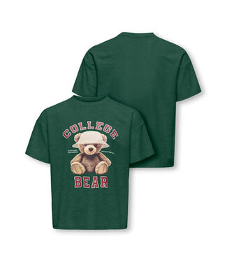Only Kids FW Kids Only : T-shirt Billie (Pineneedle)