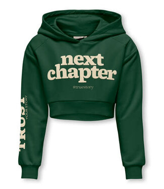 Only Kids FW Kids Only : Hoodie Diana (Pineneedle)
