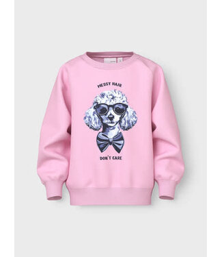 Name it FW Name it MINI : Sweater Venus (Sweet Dreams)