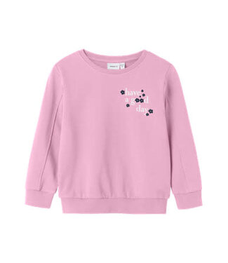 Name it FW Name it MINI : Sweater Linka (Sweet Dreams)