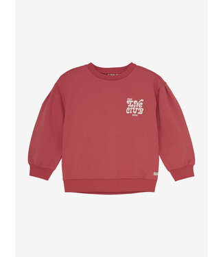 Daily 7 FW Daily 7 : Sweater brushed print (Baked Apple)