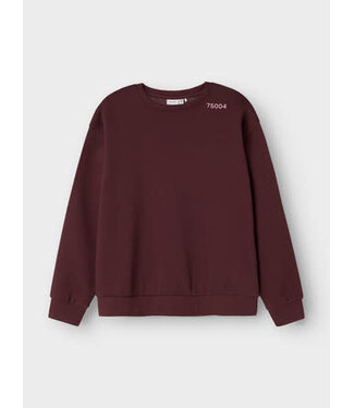 Name it FW Name it KIDS : Sweater Odika (Sassafras)
