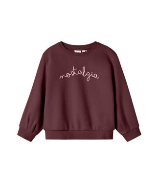Name it FW Name it MINI : Sweater Ovi (Sassafras)