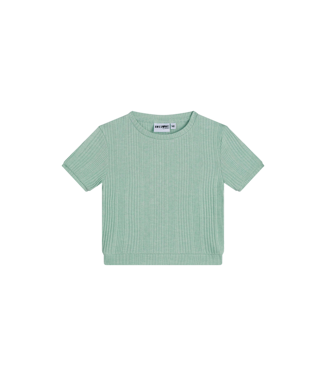 SS Awesome: T-shirt Angelina  500020 (Soft mint)