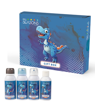 4 all seasons 4 all seasons: Geschenkdoos Dino