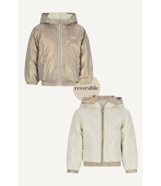 Le chic SS Le chic: Jas Bethy 5205 (Golden glow)